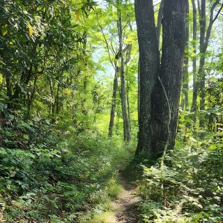 Privately Guided Half Day Hike 8