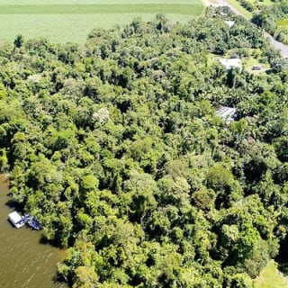 1-Hour Daintree River wildlife cruise 7