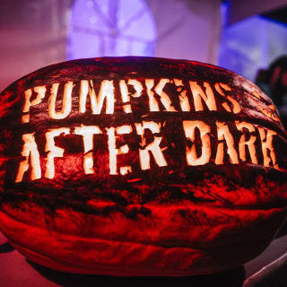 Pumpkins After Dark 5