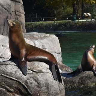 Bronx Zoo 11