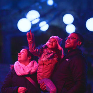 Astra Lumina: An Enchanted Night Walk Amongst the Stars - Gift Card 4