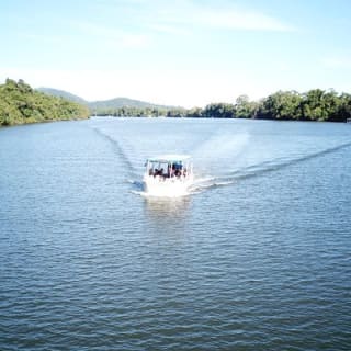 1-Hour Daintree River wildlife cruise 9