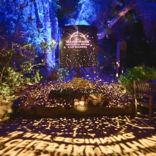Astra Lumina: An Enchanted Night Walk Amongst the Stars - Gift Card 5