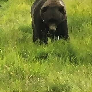Wildlife Conservation Center with Lunch & Local Beer Sampling 9