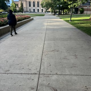 Ann Arbor Detective Mystery Game: Infiltrate a Secret Society! 8