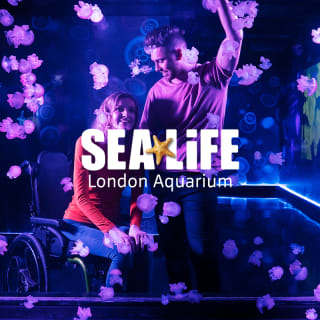 SEA LIFE London Aquarium: Entry + VR Experience 2