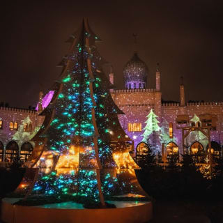 Tivoli Gardens: Christmas Entry Ticket 3