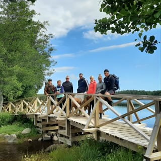 Magical Taiga Forest Hike con Almuerzo y Transporte 7