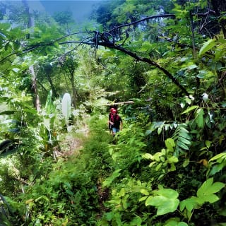 Body Rafting™ & -Höhlenwandern in einem Naturschutzgebiet 24
