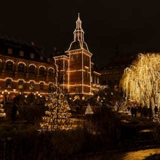 Tivoli Gardens: Christmas Entry Ticket 4