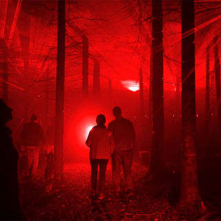 Forest of Shadows: An Immersive Dark Tale - Seattle, WA - Special Accommodations 2