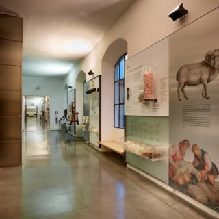 Museo del Tessuto: Admission ticket 10