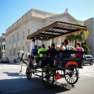 Daytime Horse-Drawn Carriage Sightseeing Tour of Historic Charleston 10