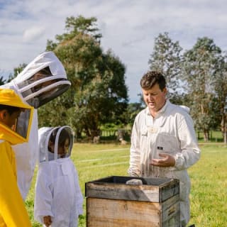 Small-Group Beekeeping Experience in Tauherenikau 3