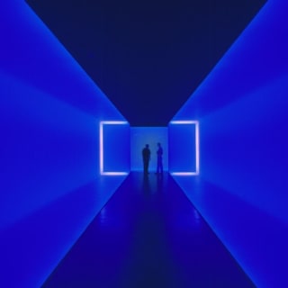 The Museum of Fine Arts, Houston: ALL ACCESS Ticket 37