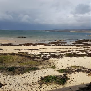 From Galway: Guided tour of Connemara with 3 hour stop at Connemara National Pk. 20