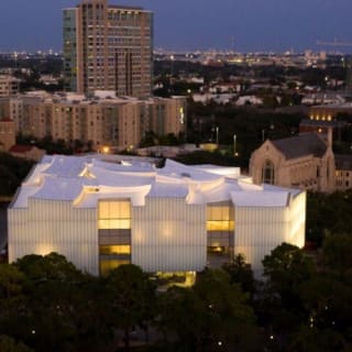 The Museum of Fine Arts, Houston: ALL ACCESS Ticket 41