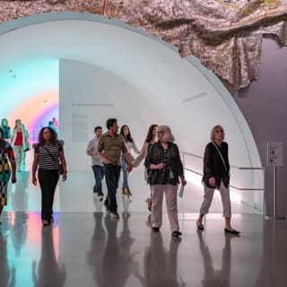 The Museum of Fine Arts, Houston: ALL ACCESS Ticket 42