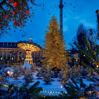Tivoli Gardens: Christmas Entry Ticket 6