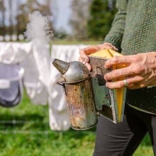 Small-Group Beekeeping Experience in Tauherenikau 4
