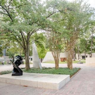 The Museum of Fine Arts, Houston: ALL ACCESS Ticket 50