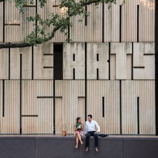 The Museum of Fine Arts, Houston: ALL ACCESS Ticket 51