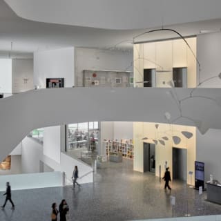 The Museum of Fine Arts, Houston: ALL ACCESS Ticket 53