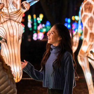 Autumn Glow Festival 2025 (Schenectady, NY) 3