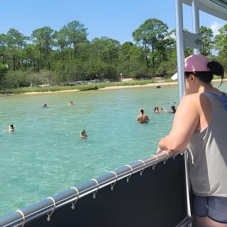 Family Friendly Snorkeling and Dolphin Tour 3