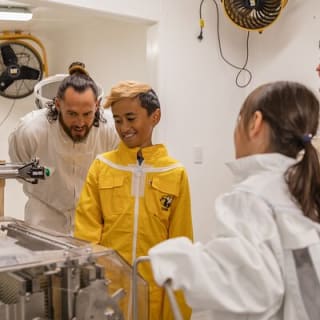 Small-Group Beekeeping Experience in Tauherenikau 8