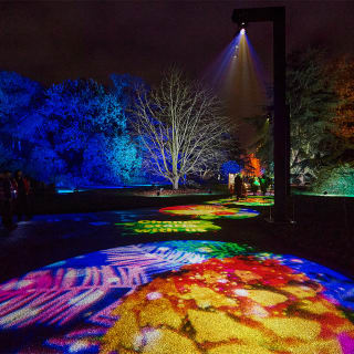 Lightscape at San Diego Botanic Garden - Gift Card 3