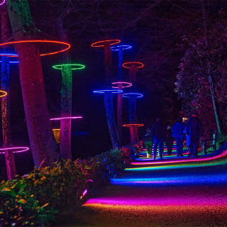 Lightscape at San Diego Botanic Garden - Gift Card 5