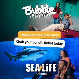 Bundle: Bubble Planet + SEA LIFE Aquarium 3