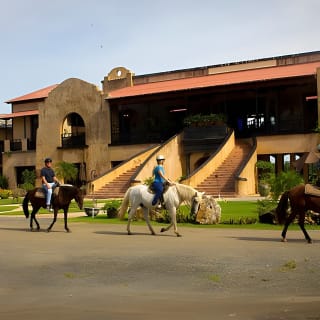 Horseback Riding Tour at Private Ranch 10