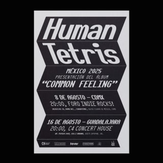 Human Tetris en CDMX 1