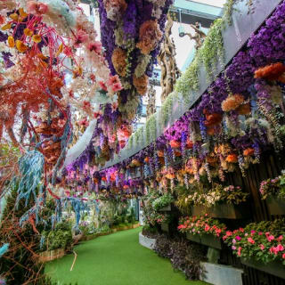 My Little Pony at Floral Fantasy 1