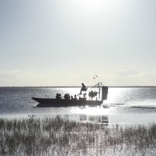 Everglades: 1-Hour Boggy Creek Airboat Tour at Southport Park 6