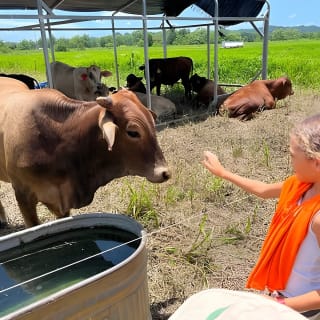 Eco Friendly Farming Tour to Explore Dorado's Most Beautiful Farm 1