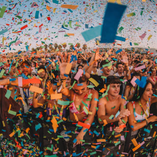Zevra Festival 2026 4