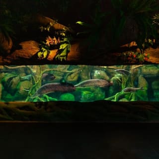 Combo: The National Aquarium Abu Dhabi & The Pixoul Gaming. 7