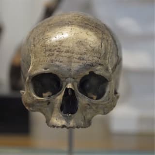 Musée de l’Homme: Billet coupe-file 6