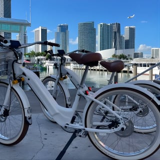 Tour in bici elettrica a South Beach 6