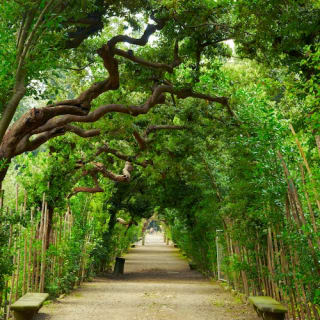 Palazzo Pitti, Boboli e Giardini Bardini 2