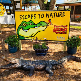Everglades: 1-Hour Boggy Creek Airboat Tour at Southport Park 14