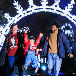 Royal Botanic Gardens, Kew 5
