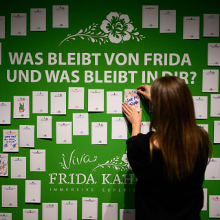 Viva Frida Kahlo – das immersive Erlebnis - Warteliste 7