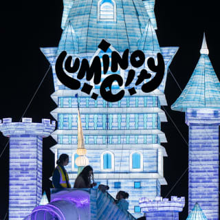 LuminoCity Winter Light Festival 3