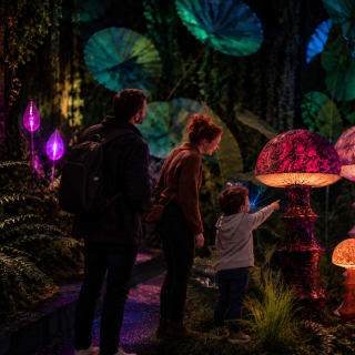 Alice Immersive Wonderland 5