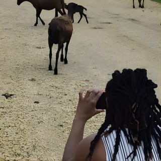 San Basilio de Palenque; Experiencia histórica y cultural 5