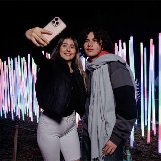 Festival Brilha Sonhos no Parque Villa-Lobos 2